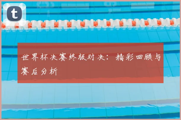 世界杯决赛终极对决：精彩回顾与赛后分析