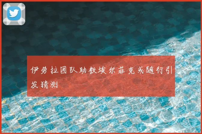 伊劳拉团队助教埃尔菲克或随行引发猜测